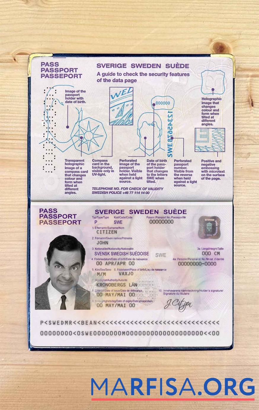 Printable Sweden passport photo look download for verification